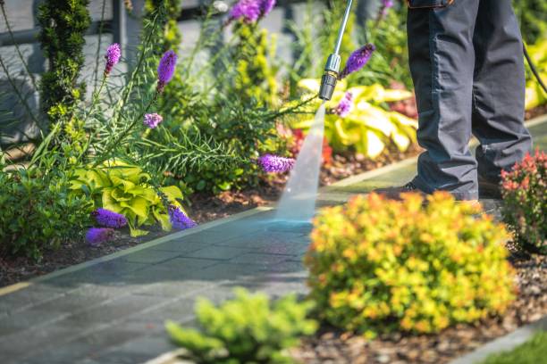 Best Animal Enclosure Cleaning  in Hartley, CA